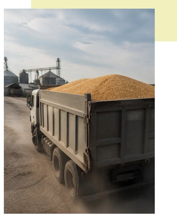 Перевозка сельхозпродукции навалом в Улана-Удэ по цене от 3073 р. | Агросервис-Лнд
